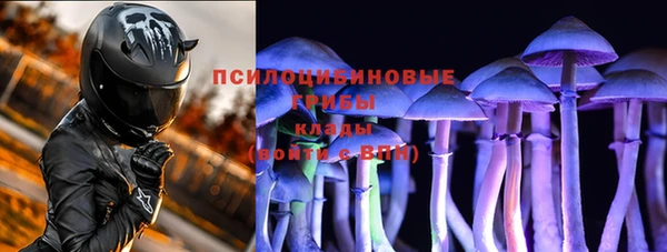 а пвп мука Бородино